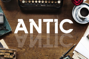 Antic: The Bold Sans Serif Typeface for Scroll-Stopping Marketing
