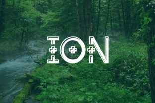 Ion Plus: A Bold Decorative Typeface for Striking Brand Identities