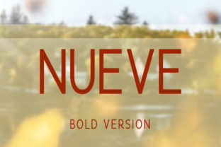 Nueve Bold: A Premium Sans Serif for Modern Editorial Design