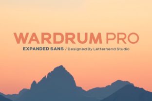 Wardrum Pro: The Bold Sans Serif Font for Handmade Creators