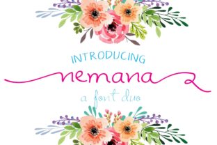Why Nemana Became My Go-To Decorative Typeface for Modern Web Design
