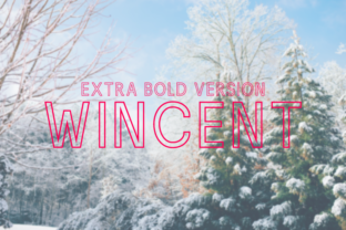 Wincent Outline Extra Bold: A Modern Typeface for Digital Brands
